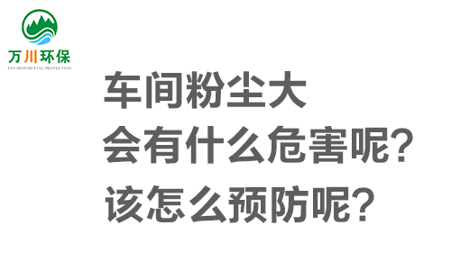 車間粉塵大會(huì)有什么危害呢？該怎么預(yù)防呢？